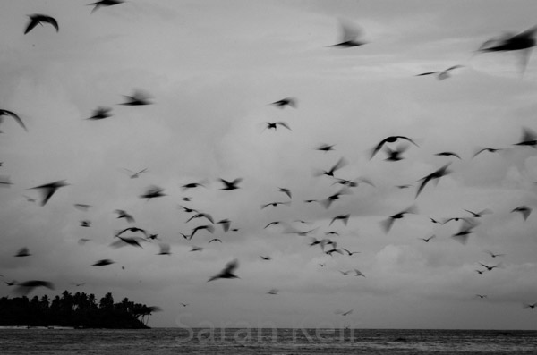 Pigeon Island off Kokopo