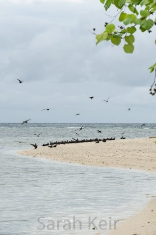 Pigeon Island off Kokopo