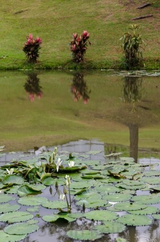 The Pine Tree Lodge, Bulolo