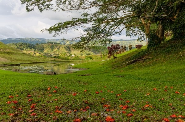 The Pine Tree Lodge, Bulolo