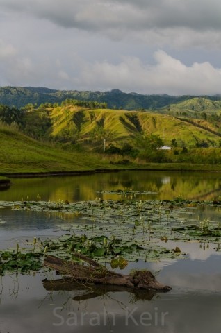 The Pine Tree Lodge, Bulolo