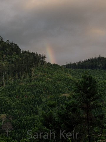 Trip out of Bulolo