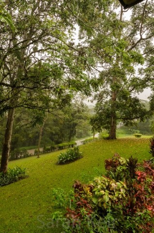 View from our balcony, Pine Tree Lodge, Bulolo