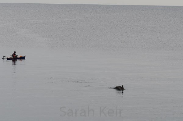 From our hotel room Kokopo - dolphins and fishermen